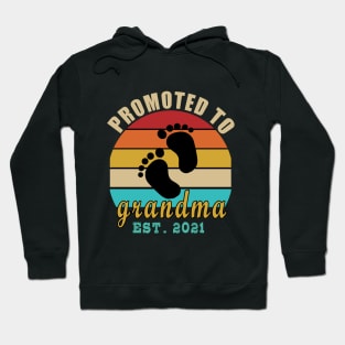 promoted to grandma 2021 Hoodie